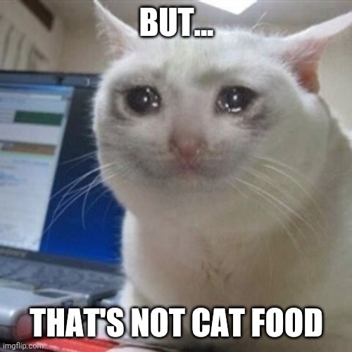 Crying cat | BUT... THAT'S NOT CAT FOOD | image tagged in crying cat | made w/ Imgflip meme maker