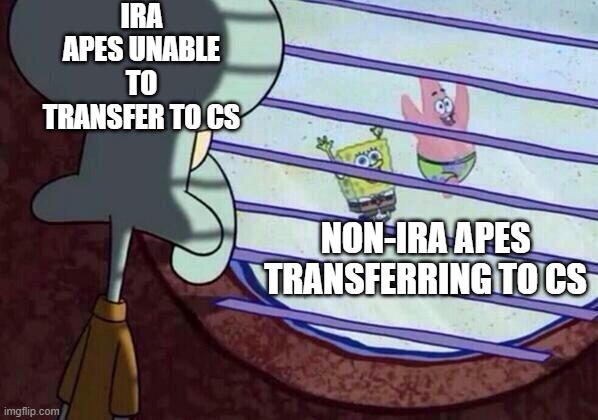 Squidward window | IRA APES UNABLE TO TRANSFER TO CS; NON-IRA APES TRANSFERRING TO CS | image tagged in squidward window,Superstonk | made w/ Imgflip meme maker