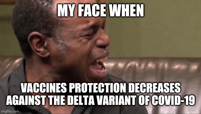 :( | MY FACE WHEN; VACCINES PROTECTION DECREASES AGAINST THE DELTA VARIANT OF COVID-19 | image tagged in best cry ever,memes,coronavirus,covid-19,vaccines,delta | made w/ Imgflip meme maker