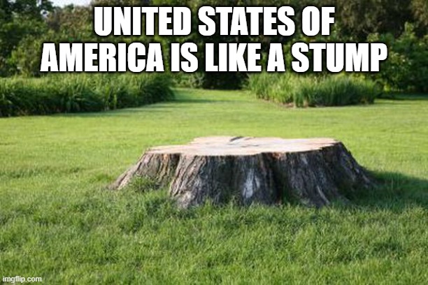 tree stump | UNITED STATES OF AMERICA IS LIKE A STUMP | image tagged in tree stump | made w/ Imgflip meme maker