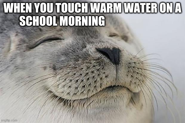 Satisfied Seal | WHEN YOU TOUCH WARM WATER ON A SCHOOL MORNING | image tagged in memes,satisfied seal | made w/ Imgflip meme maker