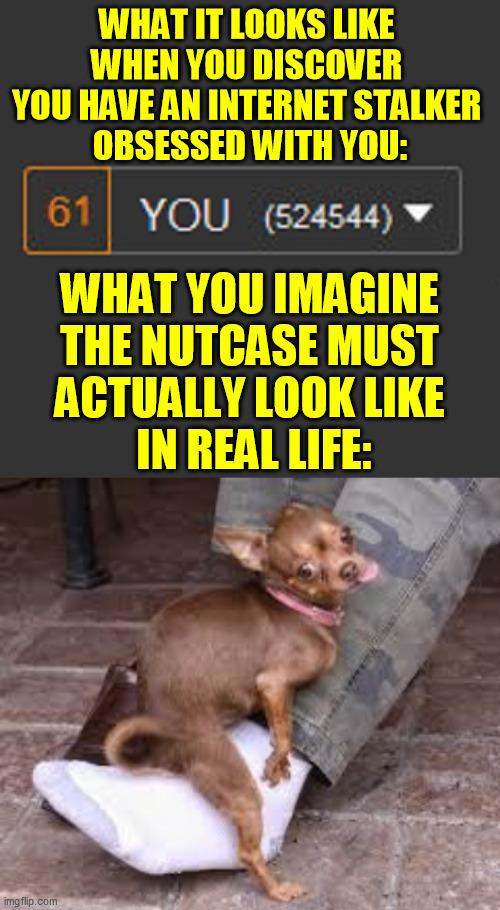 There are seriously mentally ill people even on this site  :-/ | WHAT IT LOOKS LIKE 
WHEN YOU DISCOVER 
YOU HAVE AN INTERNET STALKER 
OBSESSED WITH YOU:; WHAT YOU IMAGINE 
THE NUTCASE MUST 
ACTUALLY LOOK LIKE 
IN REAL LIFE: | image tagged in ocd,obsessive-compulsive,mentally ill,unbalanced,psycho,humping dog | made w/ Imgflip meme maker