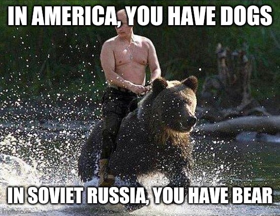Man, I am quite jealous of russians | IN AMERICA, YOU HAVE DOGS; IN SOVIET RUSSIA, YOU HAVE BEAR | image tagged in father russia | made w/ Imgflip meme maker