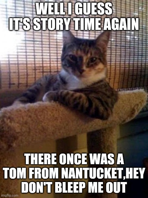 The Most Interesting Cat In The World Meme | WELL I GUESS IT'S STORY TIME AGAIN; THERE ONCE WAS A TOM FROM NANTUCKET,HEY DON'T BLEEP ME OUT | image tagged in memes,the most interesting cat in the world | made w/ Imgflip meme maker