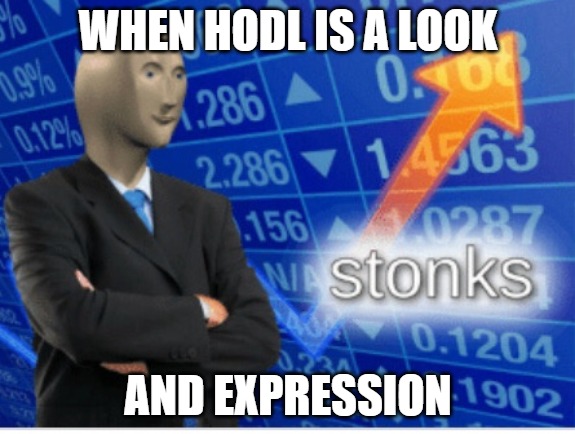DEEP INVESTMENTS | WHEN HODL IS A LOOK; AND EXPRESSION | image tagged in stoinks,stonky | made w/ Imgflip meme maker