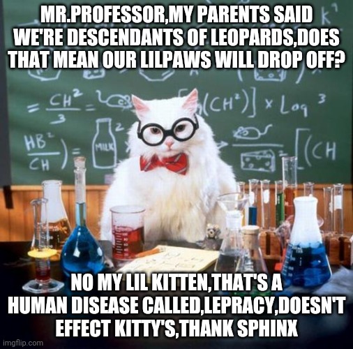 Chemistry Cat Meme | MR.PROFESSOR,MY PARENTS SAID WE'RE DESCENDANTS OF LEOPARDS,DOES THAT MEAN OUR LILPAWS WILL DROP OFF? NO MY LIL KITTEN,THAT'S A HUMAN DISEASE CALLED,LEPRACY,DOESN'T EFFECT KITTY'S,THANK SPHINX | image tagged in memes,chemistry cat | made w/ Imgflip meme maker