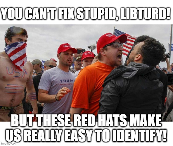 Angry Red Cap | YOU CAN'T FIX STUPID, LIBTURD! BUT THESE RED HATS MAKE US REALLY EASY TO IDENTIFY! | image tagged in angry red cap | made w/ Imgflip meme maker