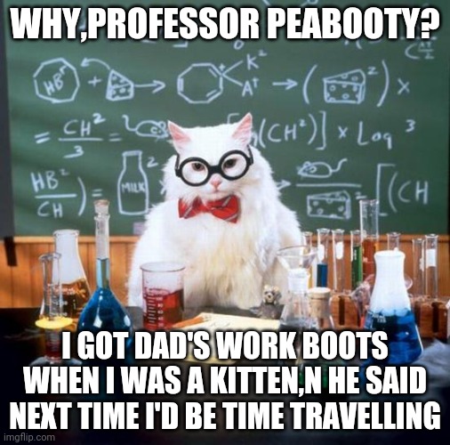 Chemistry Cat Meme | WHY,PROFESSOR PEABOOTY? I GOT DAD'S WORK BOOTS WHEN I WAS A KITTEN,N HE SAID NEXT TIME I'D BE TIME TRAVELLING | image tagged in memes,chemistry cat | made w/ Imgflip meme maker
