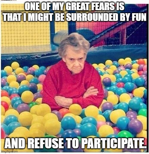 no fun | ONE OF MY GREAT FEARS IS THAT I MIGHT BE SURROUNDED BY FUN; AND REFUSE TO PARTICIPATE. | image tagged in too old,no fun | made w/ Imgflip meme maker