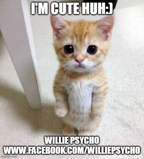 Willie PSYCHO says...... | I'M CUTE HUH:); WILLIE PSYCHO
WWW.FACEBOOK.COM/WILLIEPSYCHO | image tagged in memes,cute cat | made w/ Imgflip meme maker