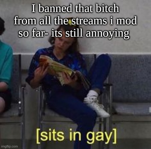 Sits in gay | I banned that bitch from all the streams i mod so far- its still annoying | image tagged in sits in gay | made w/ Imgflip meme maker