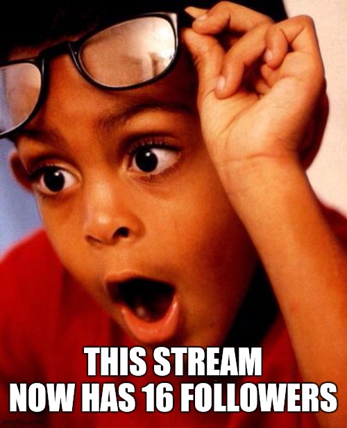 I was not expecting that | THIS STREAM NOW HAS 16 FOLLOWERS | image tagged in wow | made w/ Imgflip meme maker
