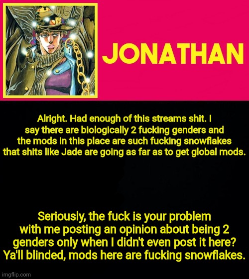 Alright. Had enough of this streams shit. I say there are biologically 2 fucking genders and the mods in this place are such fucking snowflakes that shits like Jade are going as far as to get global mods. Seriously, the fuck is your problem with me posting an opinion about being 2 genders only when I didn't even post it here? Ya'll blinded, mods here are fucking snowflakes. | image tagged in jonathan | made w/ Imgflip meme maker