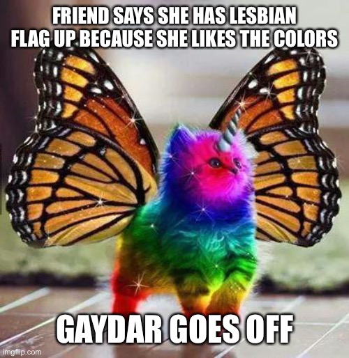 My gaydar went off and I was right! | FRIEND SAYS SHE HAS LESBIAN FLAG UP BECAUSE SHE LIKES THE COLORS; GAYDAR GOES OFF | image tagged in rainbow unicorn butterfly kitten | made w/ Imgflip meme maker