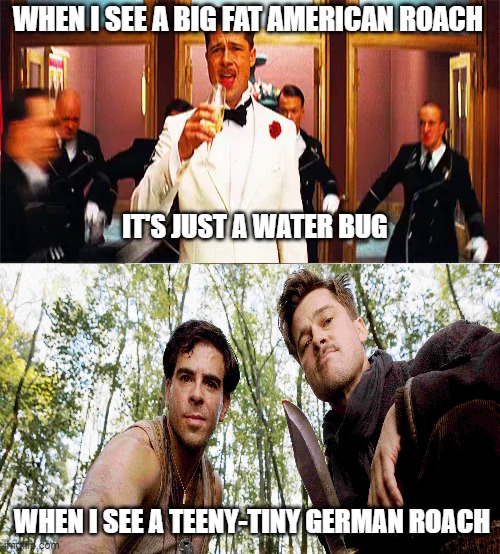 roaches |  WHEN I SEE A BIG FAT AMERICAN ROACH; IT'S JUST A WATER BUG; WHEN I SEE A TEENY-TINY GERMAN ROACH | image tagged in water bug,roach,inglorious basterds,brad pitt | made w/ Imgflip meme maker
