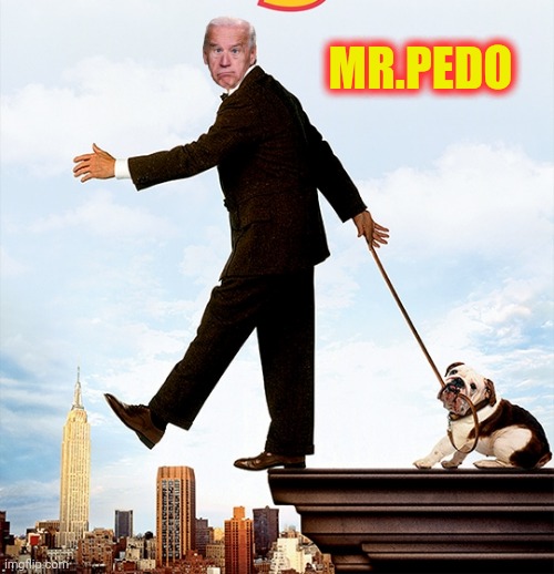 MR.PEDO | made w/ Imgflip meme maker