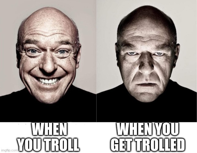 bearded expense meme | WHEN YOU TROLL; WHEN YOU GET TROLLED | image tagged in breaking bad smile frown | made w/ Imgflip meme maker