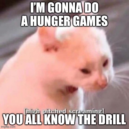 [high pitched screaming] | I’M GONNA DO A HUNGER GAMES; YOU ALL KNOW THE DRILL | image tagged in high pitched screaming | made w/ Imgflip meme maker