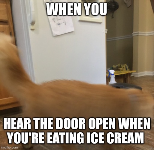 Iam SPEED | WHEN YOU; HEAR THE DOOR OPEN WHEN YOU'RE EATING ICE CREAM | image tagged in iam speed | made w/ Imgflip meme maker