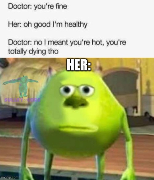 oof | HER: | image tagged in monsters inc,grumpy cat not amused,dark humor,death,wtf,they had us in the first half | made w/ Imgflip meme maker