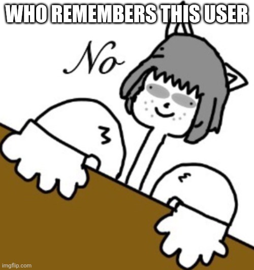 :salute: | WHO REMEMBERS THIS USER | image tagged in no | made w/ Imgflip meme maker