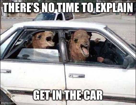 Quit Hatin | THERE’S NO TIME TO EXPLAIN; GET IN THE CAR | image tagged in memes,quit hatin | made w/ Imgflip meme maker