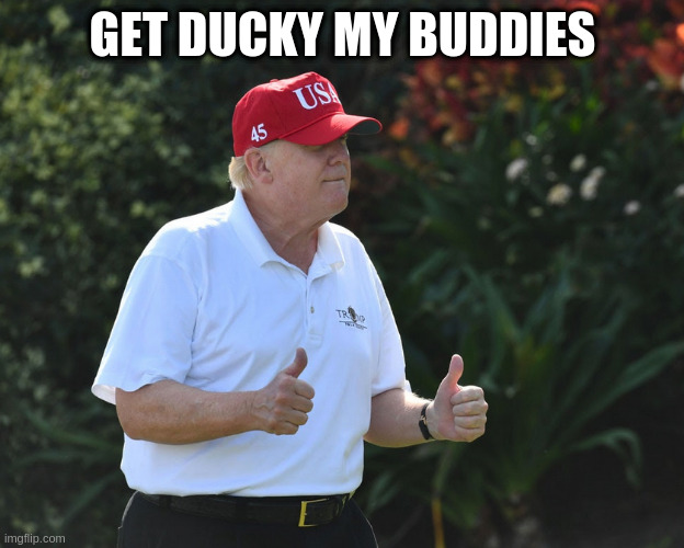 rumpts endorsement for otoole | GET DUCKY MY BUDDIES | image tagged in bs rumpt,election2021,canada | made w/ Imgflip meme maker