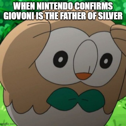 It was one of the Generations episodes that confirmed it | WHEN NINTENDO CONFIRMS GIOVONI IS THE FATHER OF SILVER | image tagged in rowlet meme template | made w/ Imgflip meme maker