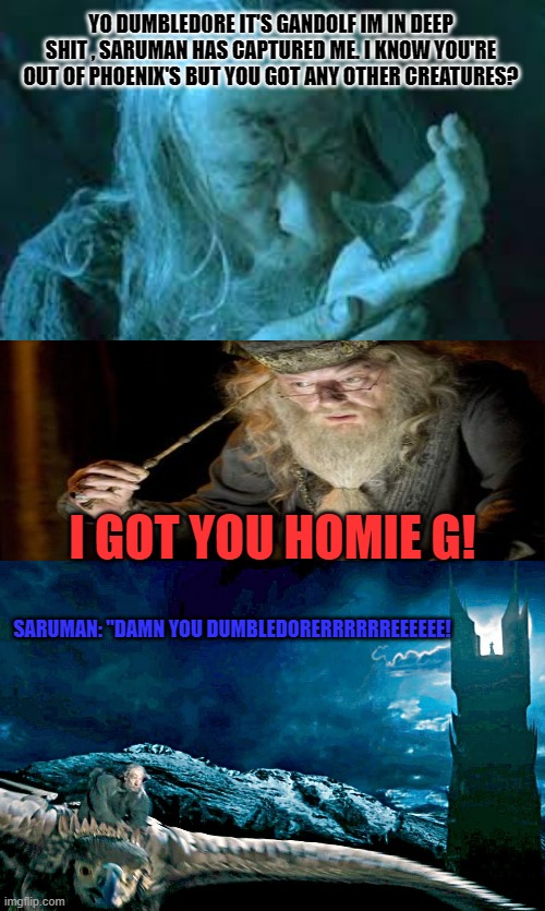 What Gandolf really said to the Moth. | YO DUMBLED0RE IT'S GANDOLF IM IN DEEP SHIT , SARUMAN HAS CAPTURED ME. I KNOW YOU'RE OUT OF PHOENIX'S BUT YOU GOT ANY OTHER CREATURES? I GOT YOU HOMIE G! SARUMAN: "DAMN YOU DUMBLEDORERRRRRREEEEEE! | image tagged in memes,gandolf,dumbledore,moth,lord of the rings | made w/ Imgflip meme maker