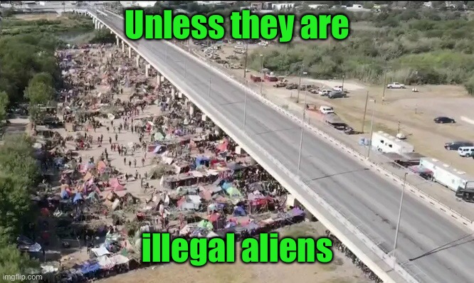 Unless they are illegal aliens | made w/ Imgflip meme maker