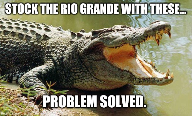 This will keep em out. | STOCK THE RIO GRANDE WITH THESE... PROBLEM SOLVED. | image tagged in memes | made w/ Imgflip meme maker