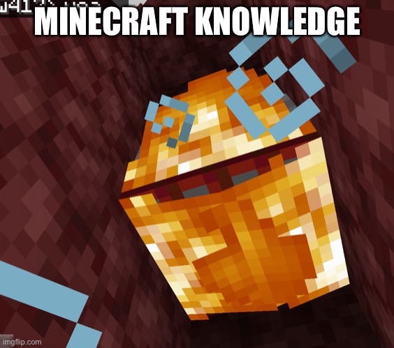 Minecraft knowledge | MINECRAFT KNOWLEDGE | image tagged in minecraft,tnt | made w/ Imgflip meme maker