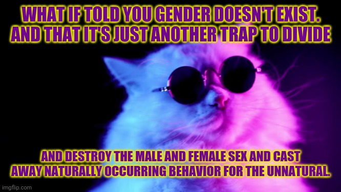 Purrpheus | WHAT IF TOLD YOU GENDER DOESN'T EXIST. AND THAT IT'S JUST ANOTHER TRAP TO DIVIDE AND DESTROY THE MALE AND FEMALE SEX AND CAST AWAY NATURALLY | image tagged in purrpheus | made w/ Imgflip meme maker