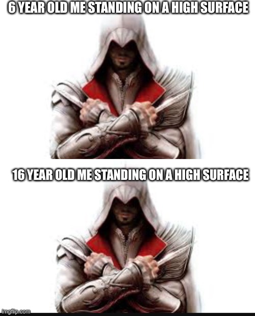 I’m just gonna say it |  6 YEAR OLD ME STANDING ON A HIGH SURFACE; 16 YEAR OLD ME STANDING ON A HIGH SURFACE | image tagged in assassins creed | made w/ Imgflip meme maker