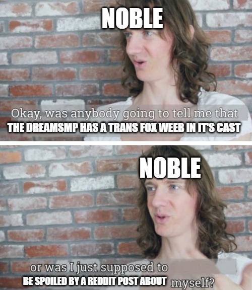 Was anybody going to tell me | NOBLE; THE DREAMSMP HAS A TRANS FOX WEEB IN IT'S CAST; NOBLE; BE SPOILED BY A REDDIT POST ABOUT | image tagged in was anybody going to tell me | made w/ Imgflip meme maker