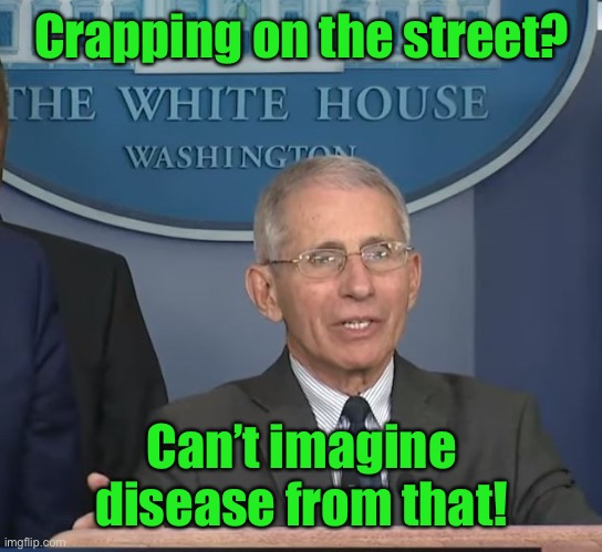 Dr Fauci | Crapping on the street? Can’t imagine disease from that! | image tagged in dr fauci | made w/ Imgflip meme maker