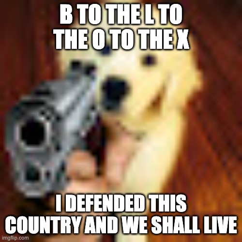 Dog gun | B TO THE L TO THE O TO THE X; I DEFENDED THIS COUNTRY AND WE SHALL LIVE | image tagged in dog gun | made w/ Imgflip meme maker