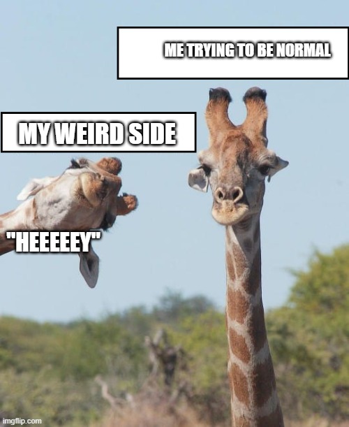 So me | ME TRYING TO BE NORMAL; MY WEIRD SIDE; "HEEEEEY" | image tagged in silly giraffe | made w/ Imgflip meme maker