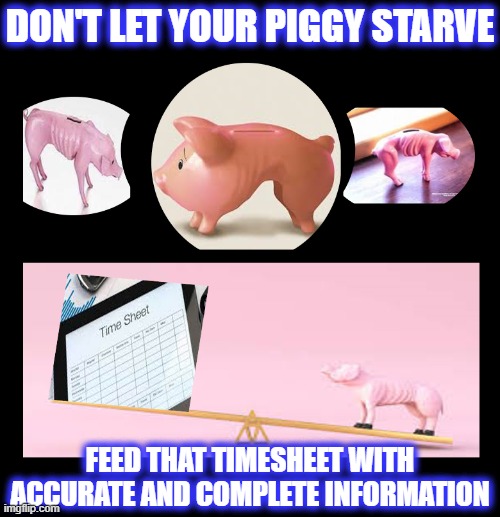 Feed That Piggy | DON'T LET YOUR PIGGY STARVE; FEED THAT TIMESHEET WITH ACCURATE AND COMPLETE INFORMATION | image tagged in timesheet reminder,timesheet meme,timesheet,timesheets | made w/ Imgflip meme maker