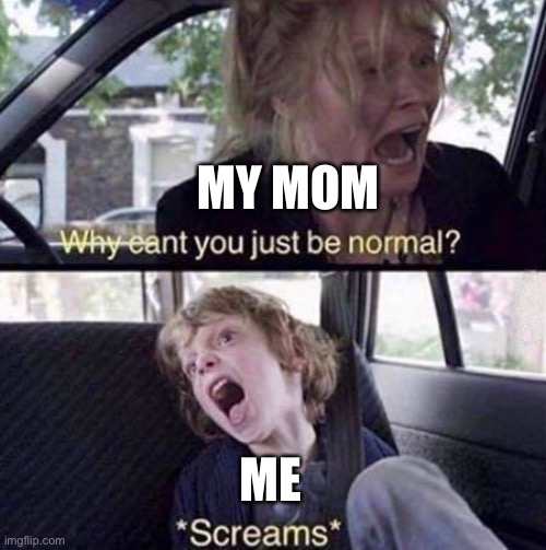 Mom vs Me | MY MOM; ME | image tagged in why can't you just be normal | made w/ Imgflip meme maker