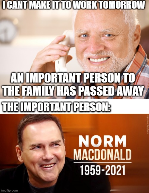 R.I.P. NORM |  I CANT MAKE IT TO WORK TOMORROW; AN IMPORTANT PERSON TO THE FAMILY HAS PASSED AWAY; THE IMPORTANT PERSON: | image tagged in memes,norm macdonald,snl,work | made w/ Imgflip meme maker