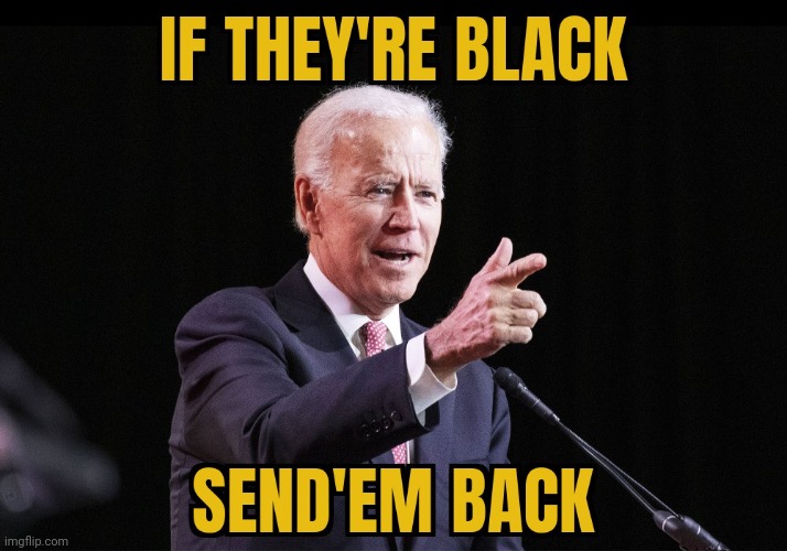 BIDEN TO HAITIANS | image tagged in joe biden,immigration,policy,racist,democrats | made w/ Imgflip meme maker