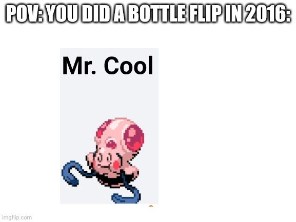 Blank White Template |  POV: YOU DID A BOTTLE FLIP IN 2016: | image tagged in pov,pokemon fusion | made w/ Imgflip meme maker