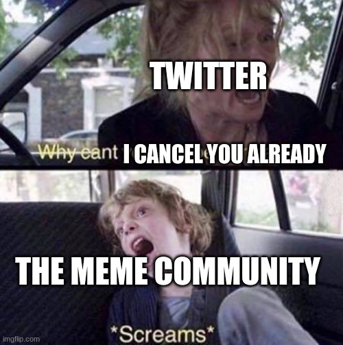 Why Can't You Just Be Normal | I CANCEL YOU ALREADY TWITTER THE MEME COMMUNITY | image tagged in why can't you just be normal | made w/ Imgflip meme maker