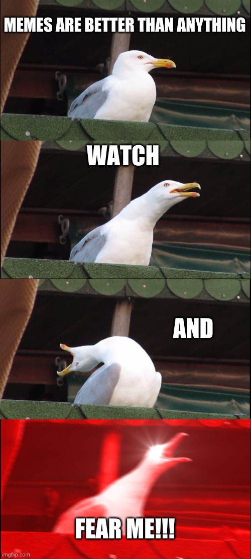 Inhaling Seagull Meme | MEMES ARE BETTER THAN ANYTHING; WATCH; AND; FEAR ME!!! | image tagged in memes,inhaling seagull | made w/ Imgflip meme maker