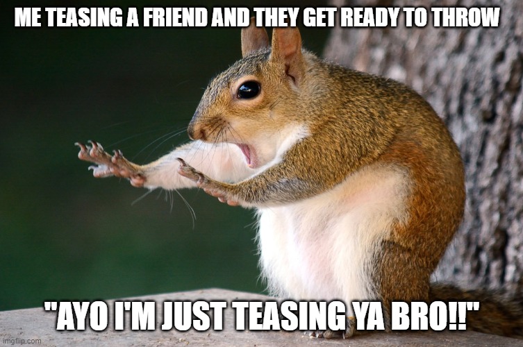 AYO BRO | ME TEASING A FRIEND AND THEY GET READY TO THROW; "AYO I'M JUST TEASING YA BRO!!" | image tagged in whoa now squirrel | made w/ Imgflip meme maker