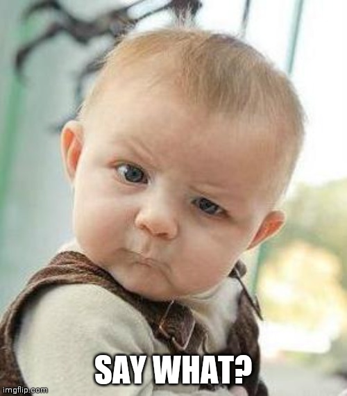 Confused Baby | SAY WHAT? | image tagged in confused baby | made w/ Imgflip meme maker