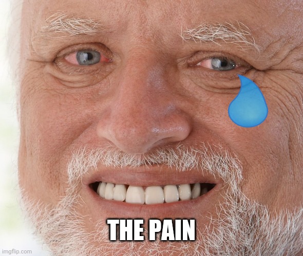 Hide the Pain Harold | THE PAIN | image tagged in hide the pain harold | made w/ Imgflip meme maker