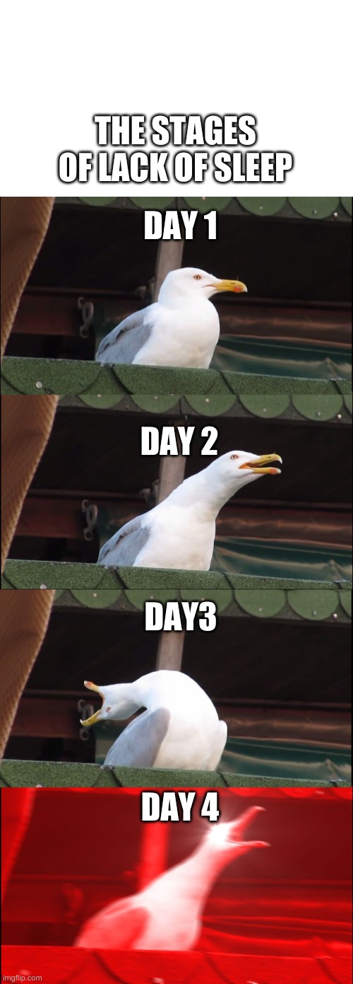 Lack of Sleep Stages | THE STAGES OF LACK OF SLEEP; DAY 1; DAY 2; DAY3; DAY 4 | image tagged in memes,inhaling seagull | made w/ Imgflip meme maker