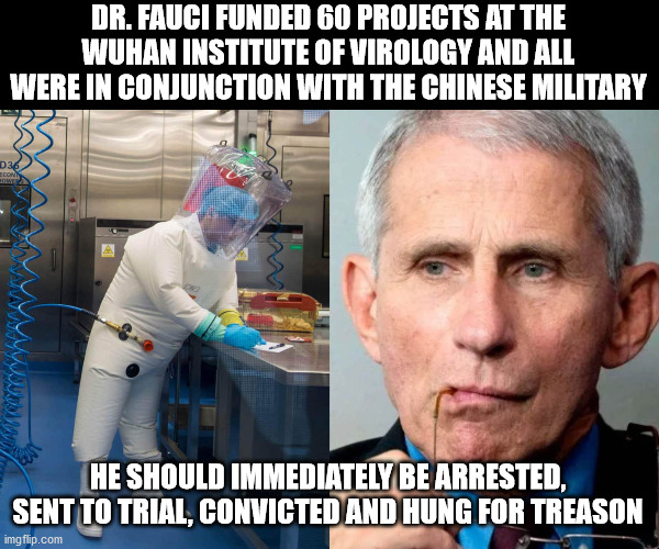 Treason | DR. FAUCI FUNDED 60 PROJECTS AT THE WUHAN INSTITUTE OF VIROLOGY AND ALL WERE IN CONJUNCTION WITH THE CHINESE MILITARY; HE SHOULD IMMEDIATELY BE ARRESTED, SENT TO TRIAL, CONVICTED AND HUNG FOR TREASON | image tagged in treason,dr fauci | made w/ Imgflip meme maker